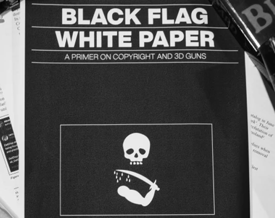 The Plastikov v4 and Back Flag White Paper